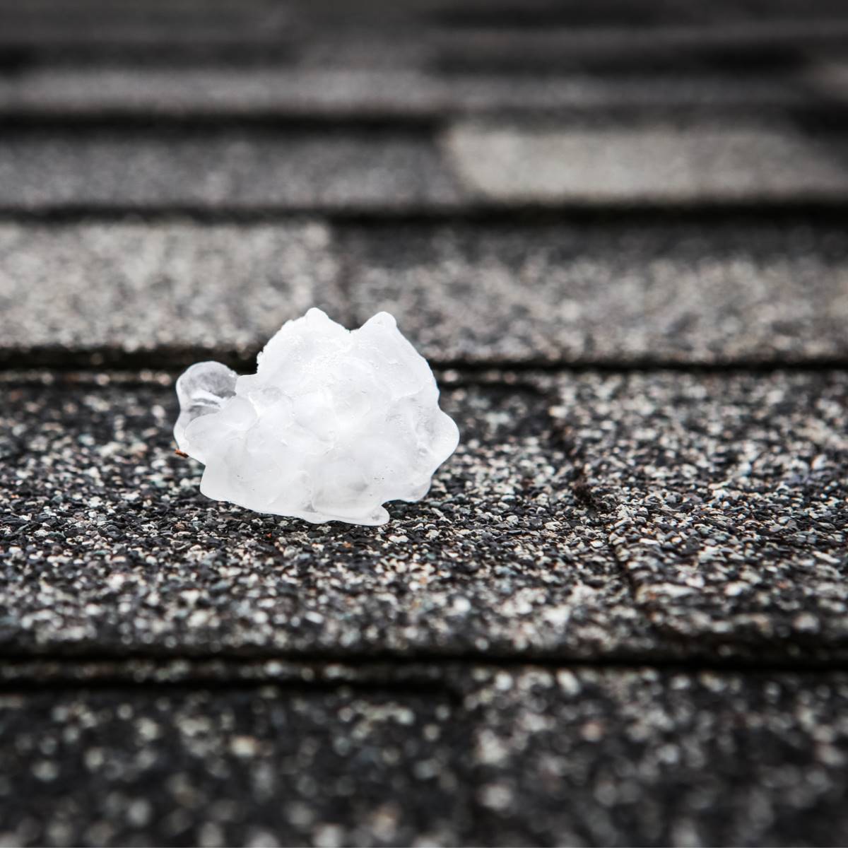 Hailstone sitting on Katy roofing surface