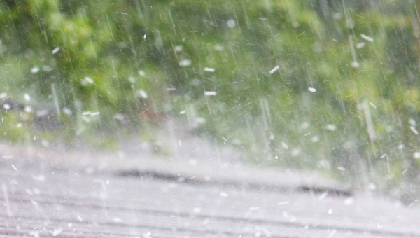 Roof Damage Common in the Spring: Do You Need a Jersey Village Roof Replacement?