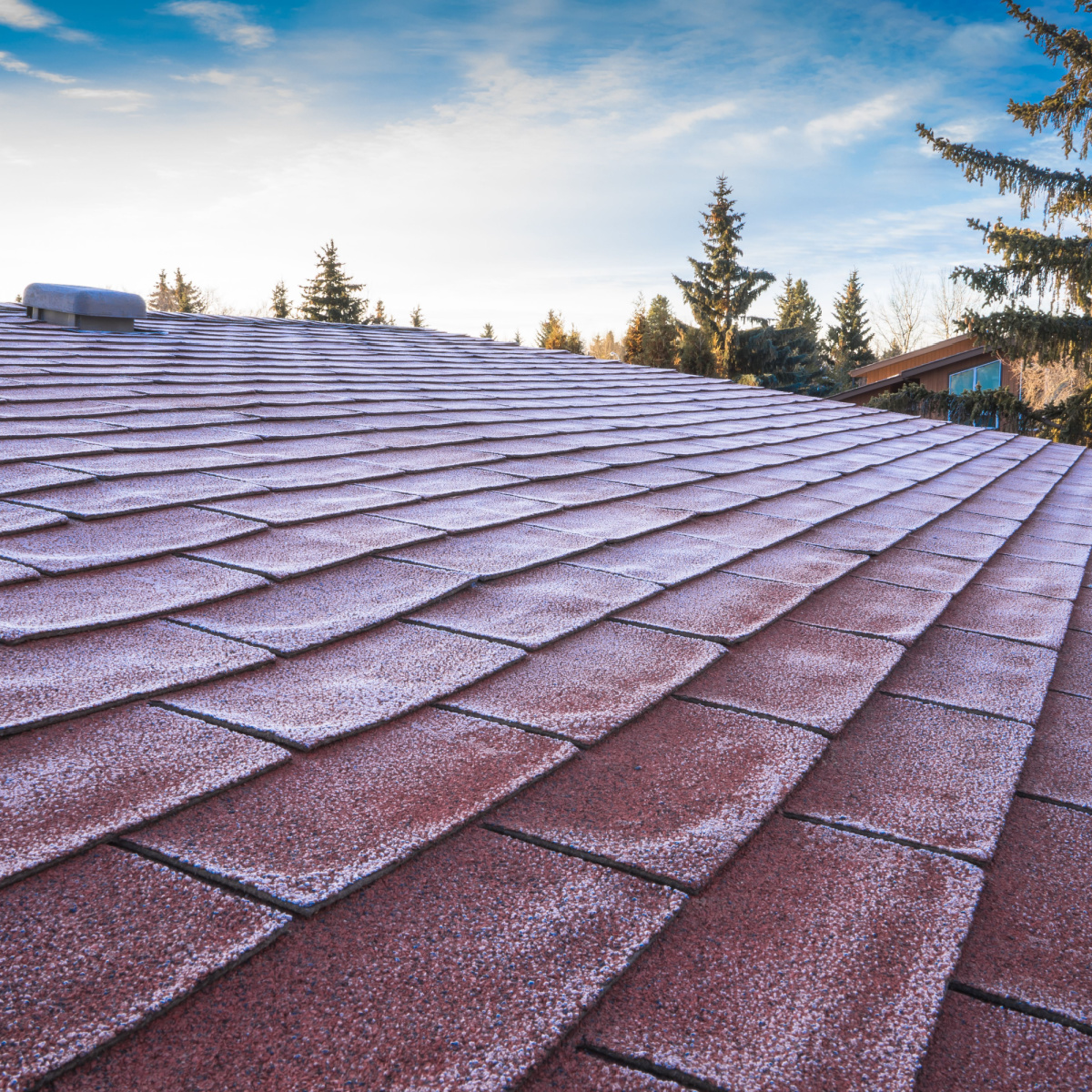 Frost on a roof's shingles