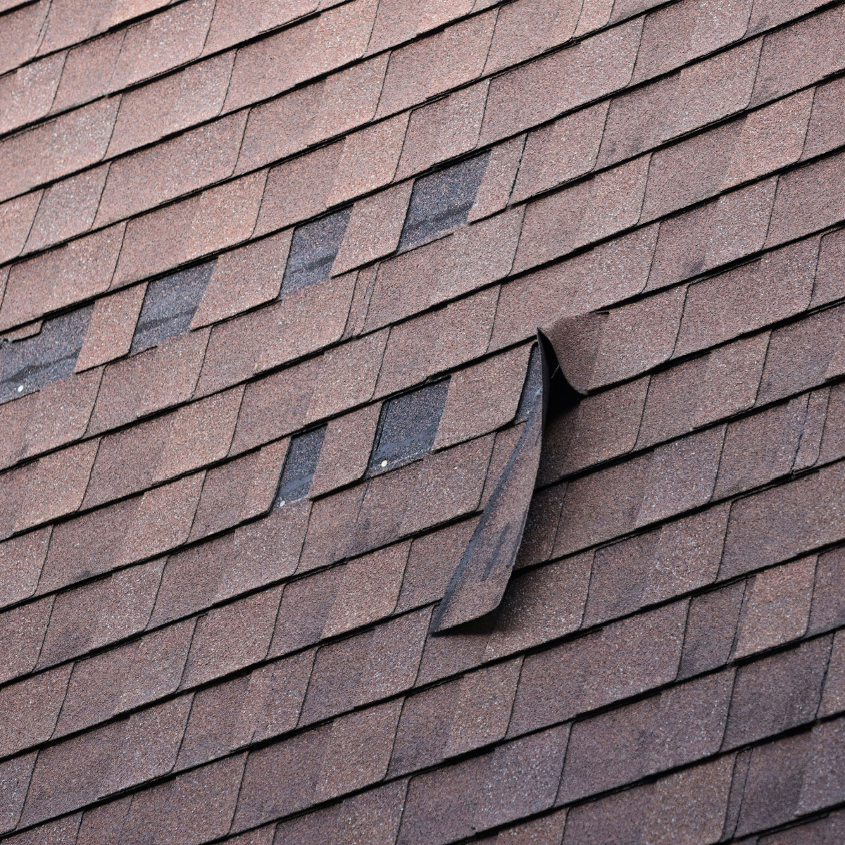 Damaged shingles on a roof