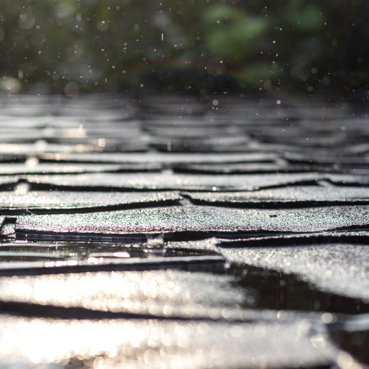 Shingles damaged from the rain