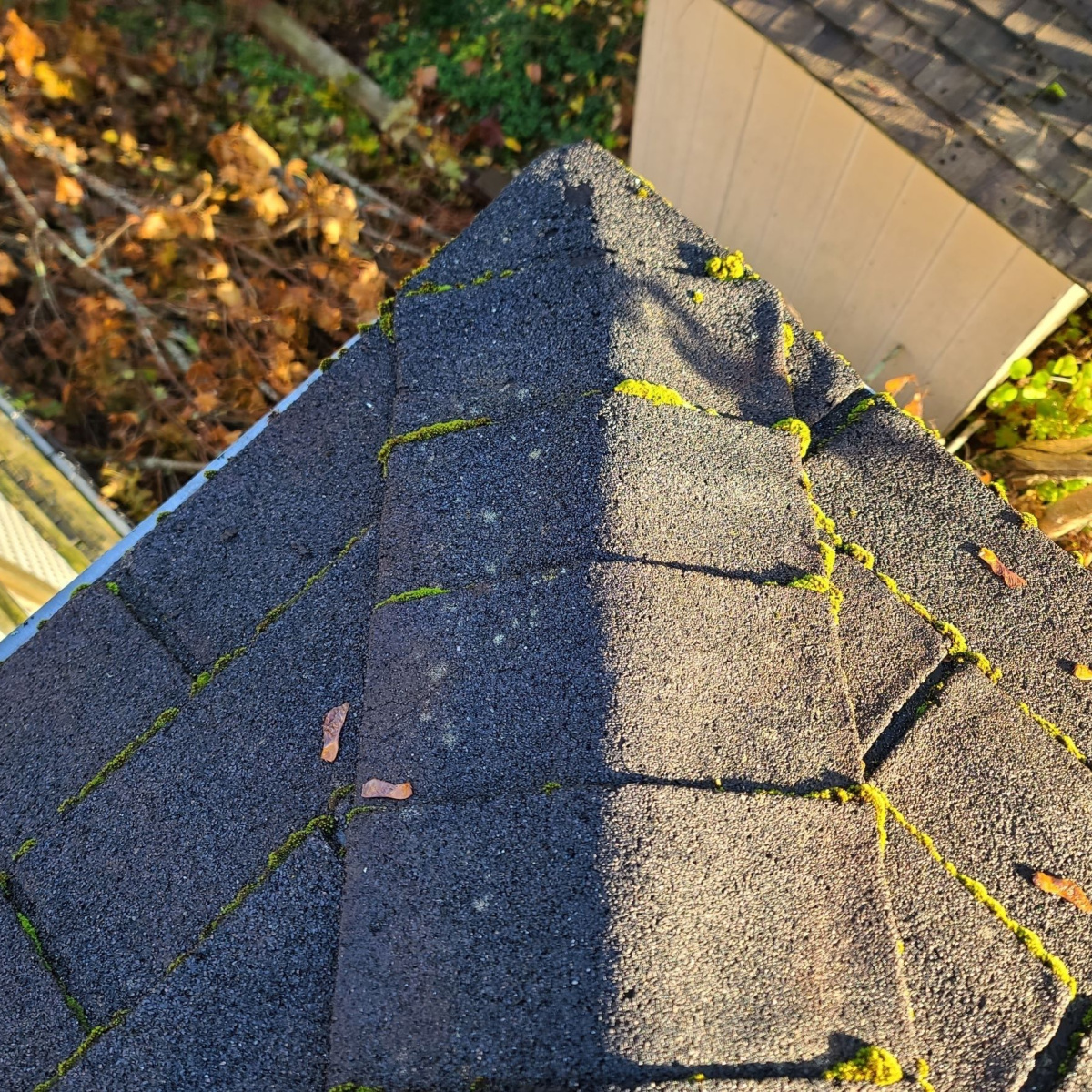 Fall season can be conducive be for a Cypress roof replacement process.