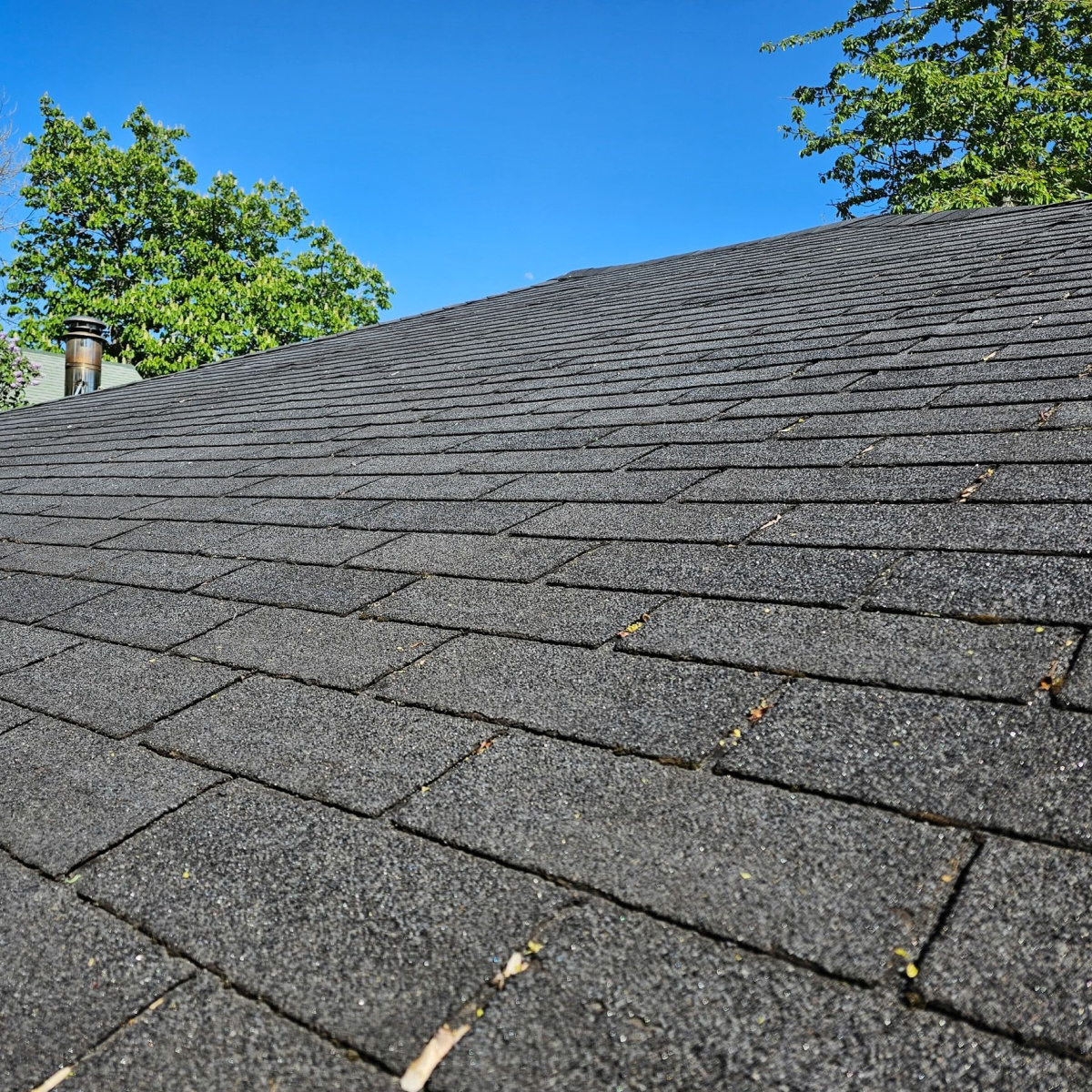 Pondering a Cimarron roof replacement in the summer? This article can help.