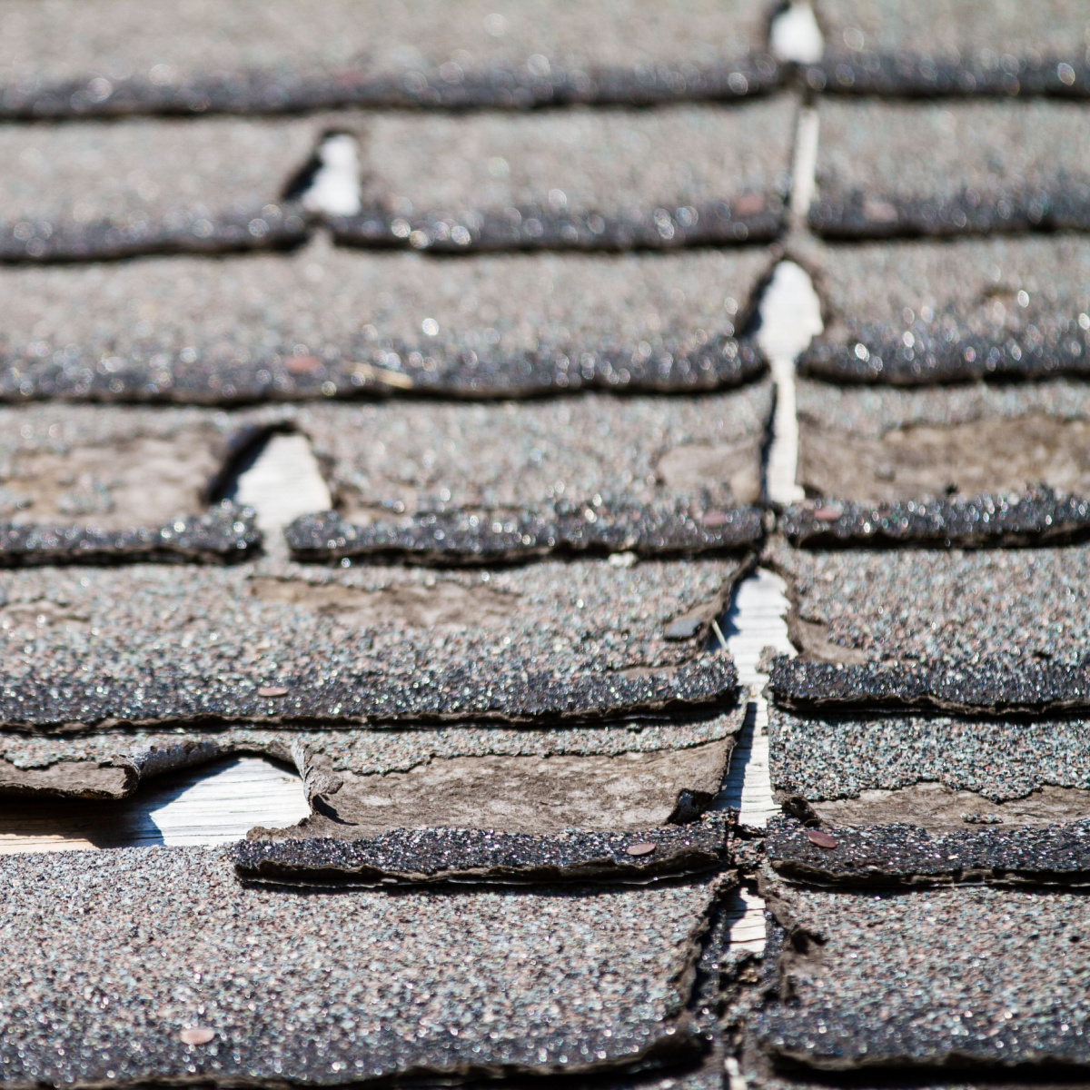 Watch out for these signs of Elyson roof aging.