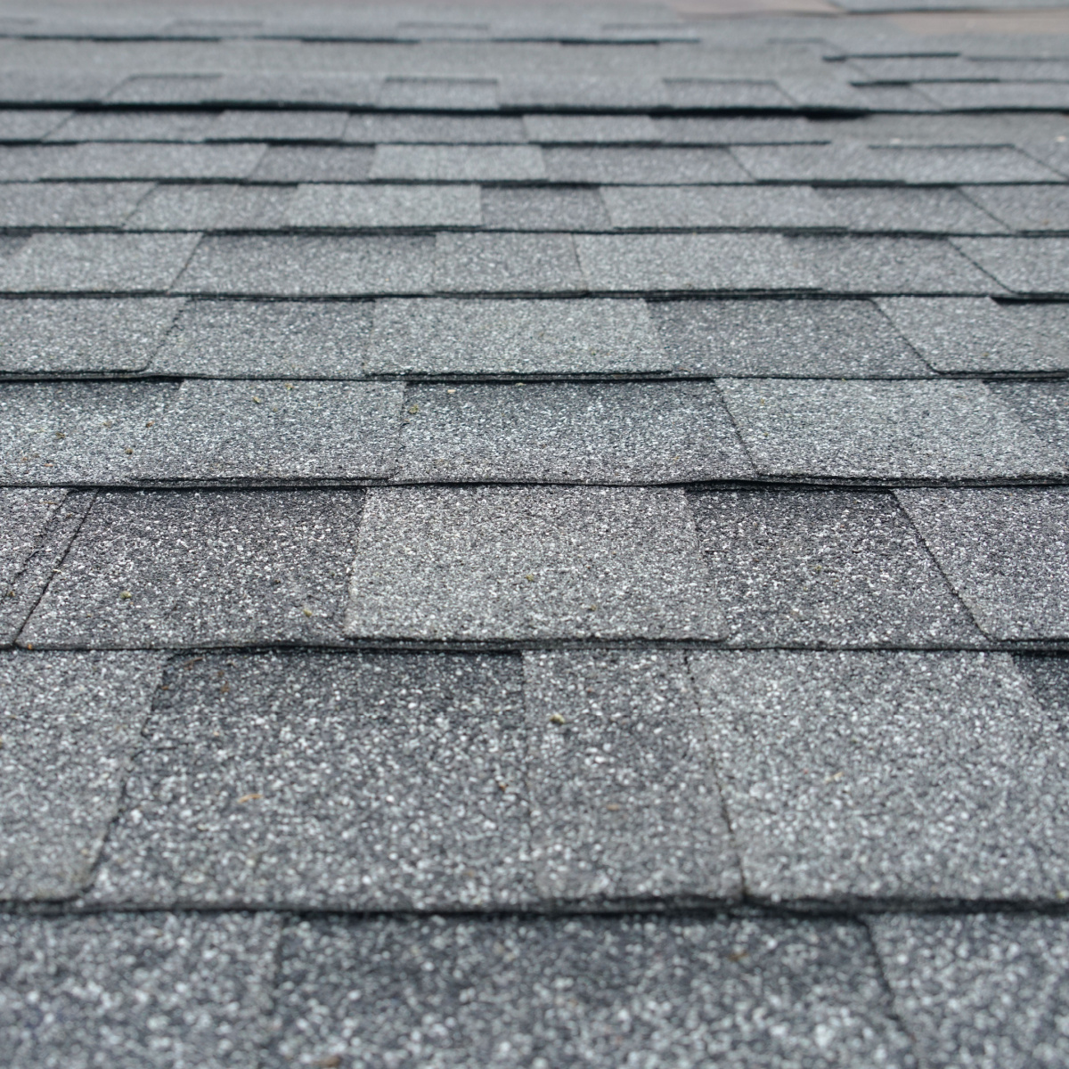 Here’s what to expect during a Lilac Terrace roof replacement.