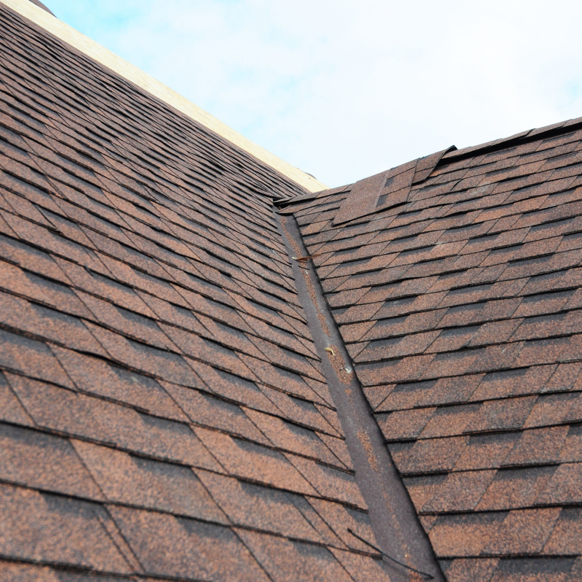 Watch out for these signs indicating the need for a Wortham Grove roof replacement.