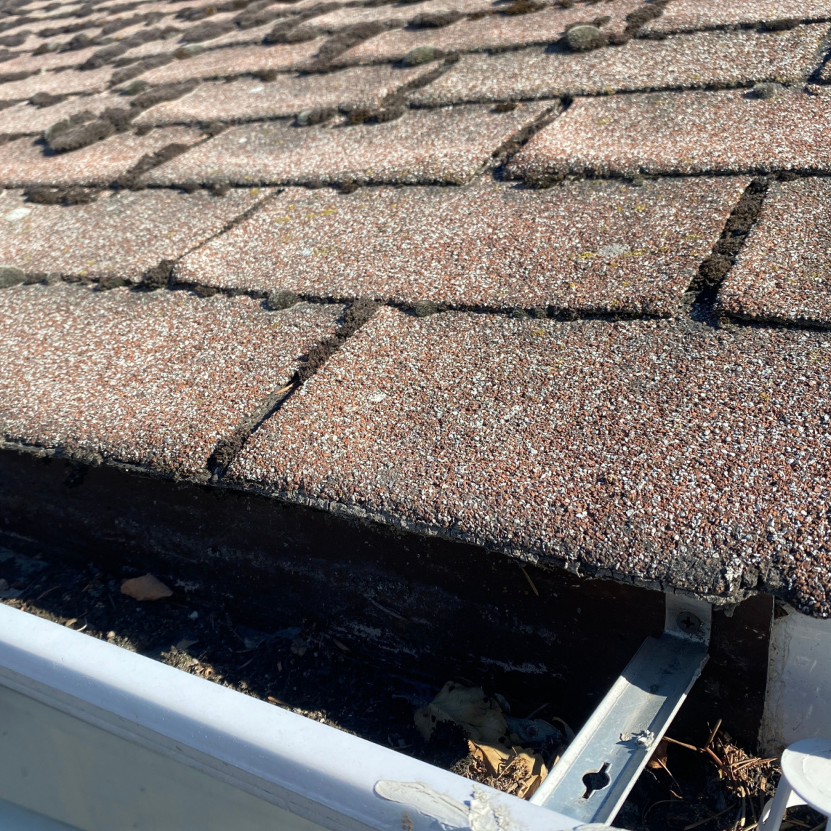 Shingles like these needs Wortham Landing roof replacement.