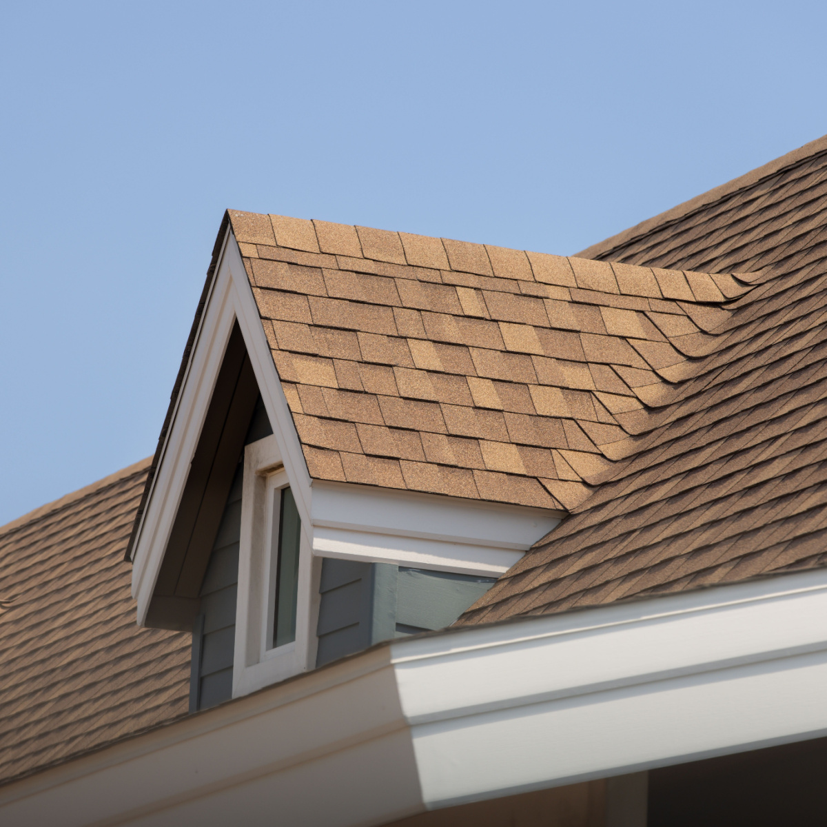 Learn about the different types of materials you can avail for your next Pine Lakes roof replacement.