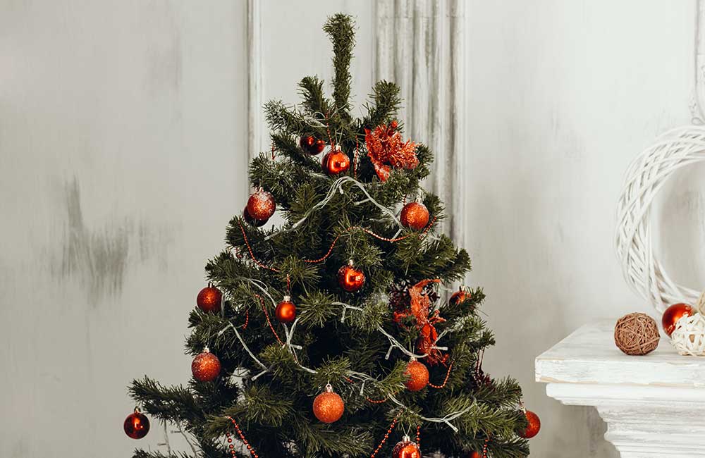 Christmas Lights by Blue Ribbon Roofing