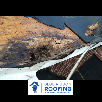 Blue Ribbon Roofing 8