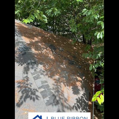 Blue Ribbon Roofing 7