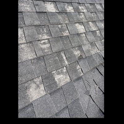 Blue Ribbon Roofing 9