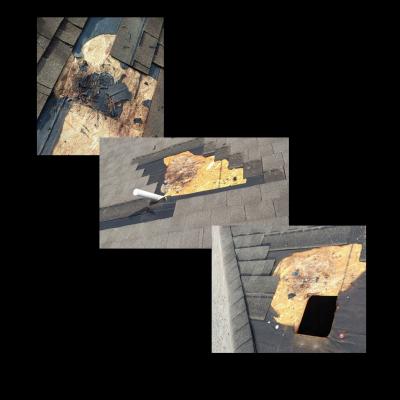 Blue Ribbon Roofing 11